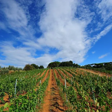 Farm stay Agriturismo Antica Fonte *